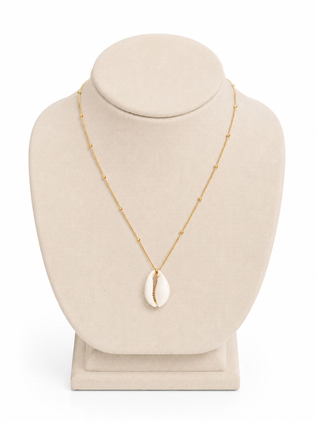 Collar Cowrie