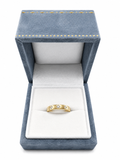 Anillo North Star