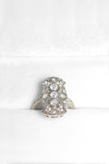 Anillo Javiera
