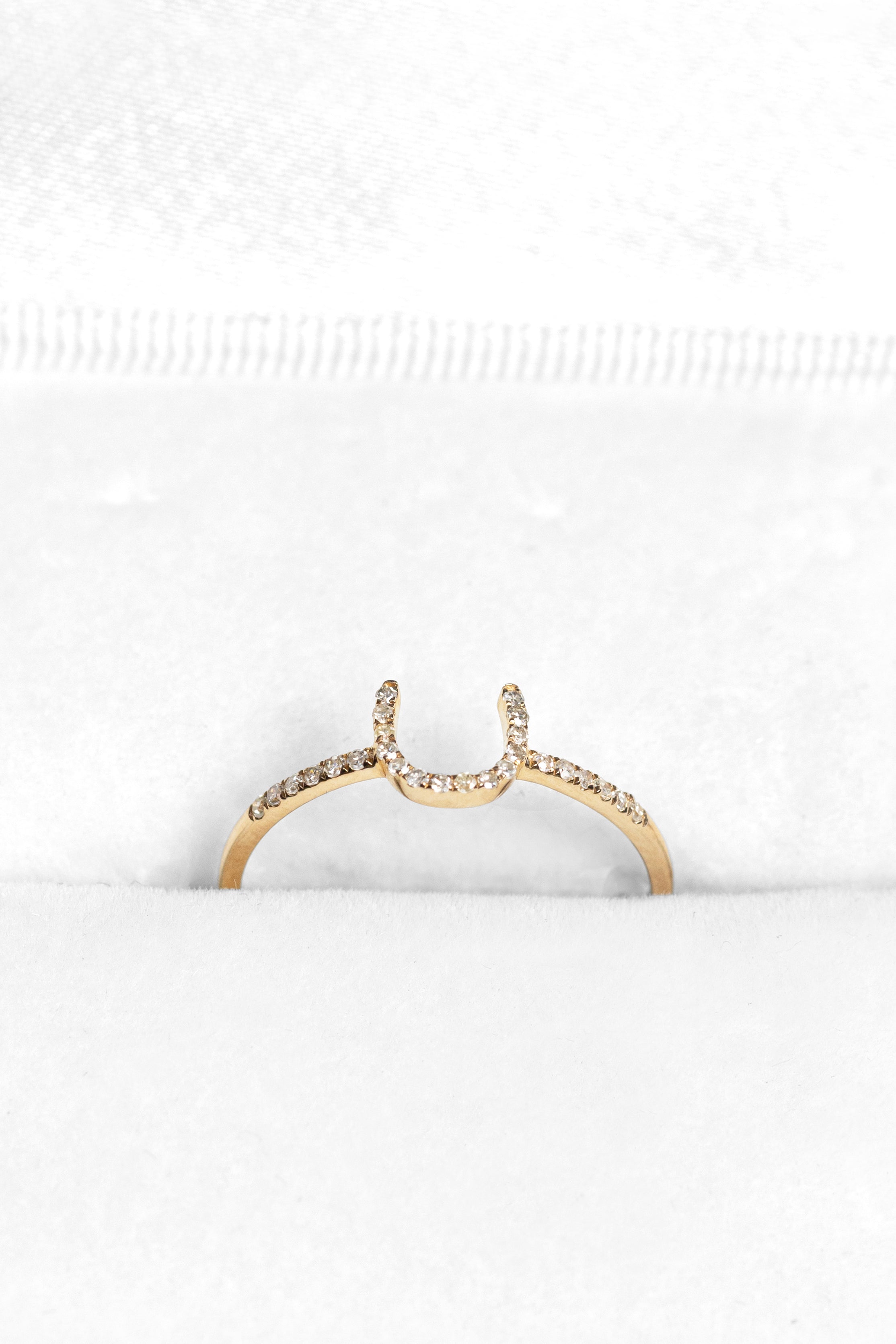 Anillo Herradura