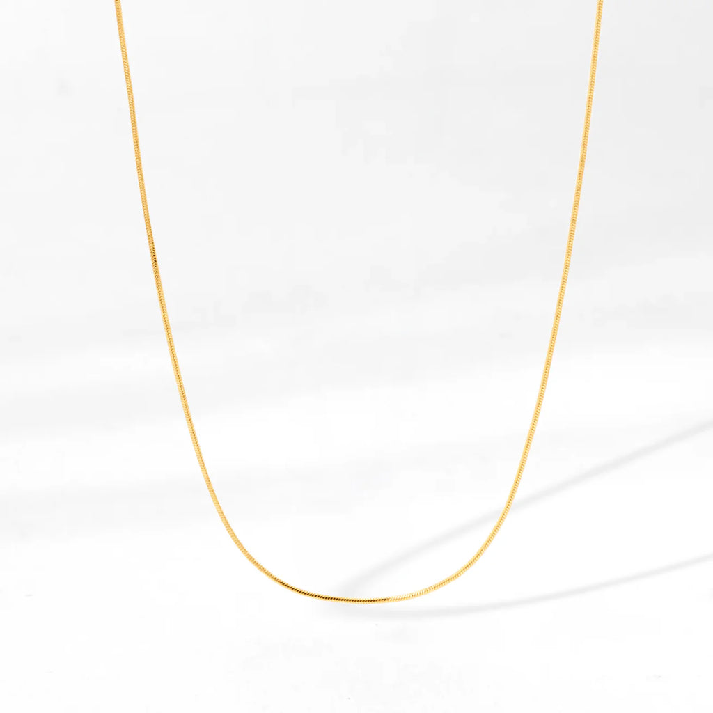 Collar Cola de Ratón